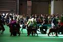 Crufts2010 1321